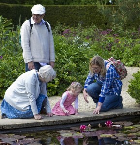 lilly-pond-805207_640